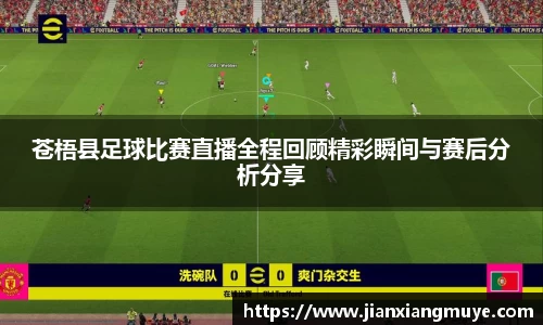 意昂体育官网
