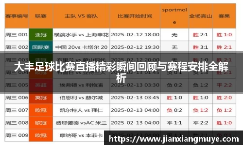大丰足球比赛直播精彩瞬间回顾与赛程安排全解析