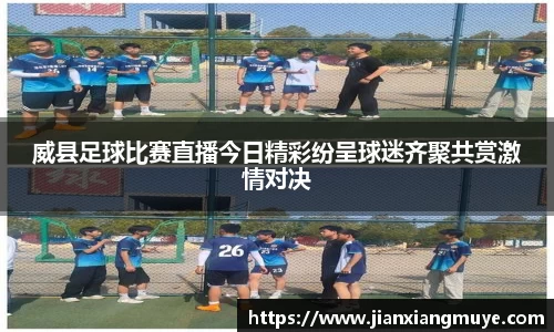 威县足球比赛直播今日精彩纷呈球迷齐聚共赏激情对决