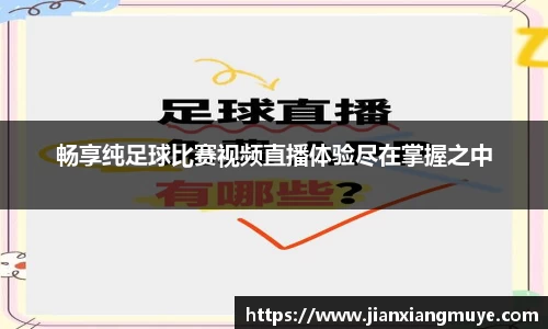 畅享纯足球比赛视频直播体验尽在掌握之中