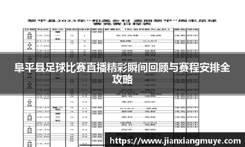阜平县足球比赛直播精彩瞬间回顾与赛程安排全攻略
