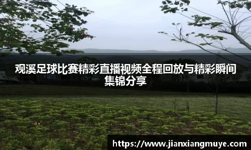 观溪足球比赛精彩直播视频全程回放与精彩瞬间集锦分享