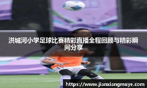 洪城河小学足球比赛精彩直播全程回顾与精彩瞬间分享