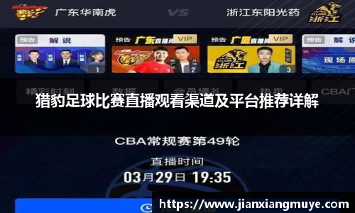 猎豹足球比赛直播观看渠道及平台推荐详解